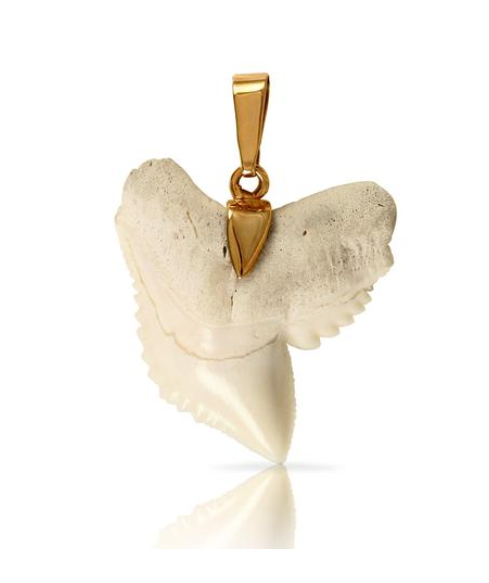 10216T - SHARK TOOTH PENDANT - Jewelry Works